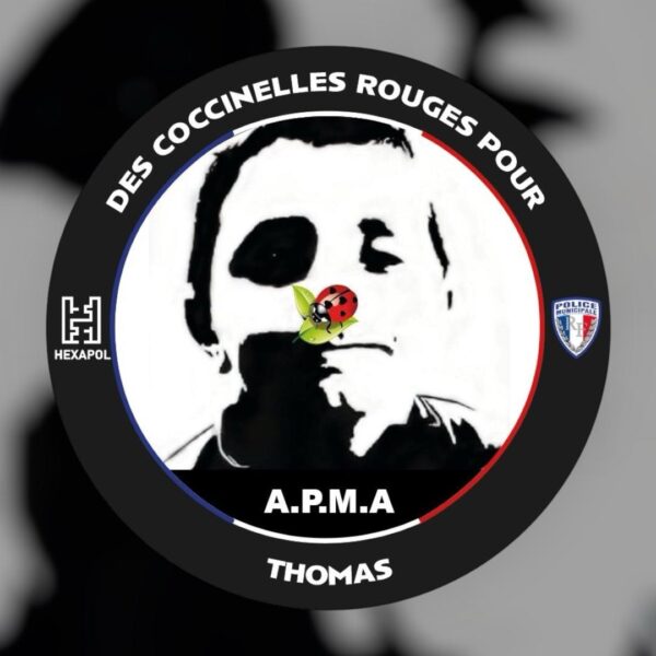 Ecusson Thomas 🐞 Des Coccinelles Rouges pour Thomas